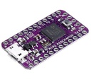 Tarjeta de desarrollo mini SAMD21 ARM Cortex