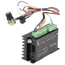 Controlador de motor DC WS55-220 48V/12A